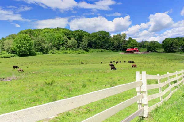 Damariscotta Lakefront Retreat image 18