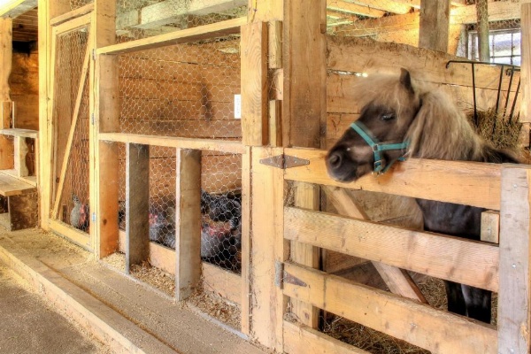 Damariscotta Lakefront Retreat image 21