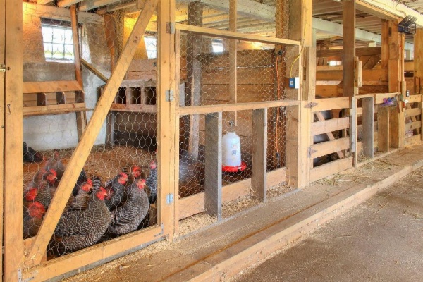 Damariscotta Lakefront Retreat image 22